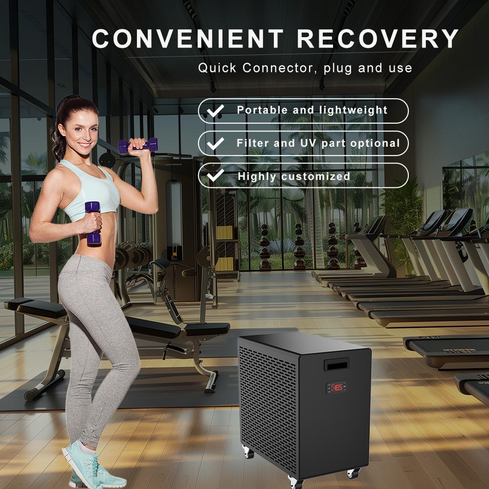 Econimical Cold Water Ice Bath Chiller 0.3Hp